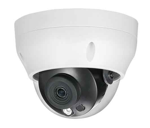 Camera IP Dome 2MP DAHUA DS2230RDIP-S3 (ống kính 3.6mm )