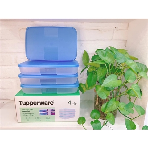 ￼Bộ hộp trữ đông Happy Set 550ml (4) mất box tl214 chính hãng