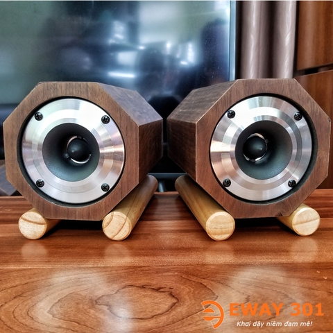 Cặp Loa Treble Pioneer P08802 Lắp Vỏ Gỗ Bát Giác Độc Đáo