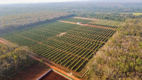 2023–2024: Trồng trọt cùng người nông dân