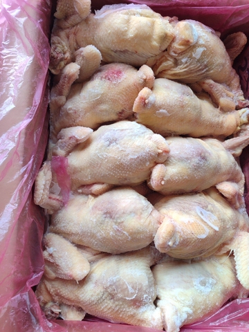 Gà nguyên con Singreen LM10 (Kg) - Bán nguyên thùng