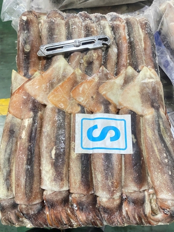 Mực ống Achen 200/300 (14-15kg/bao, ko tách lẻ) - Kg