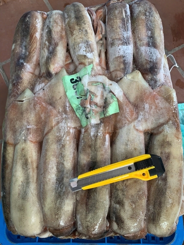 Mực ống ĐL 300/400 (16-18kg/bao, ko tách lẻ) - Kg