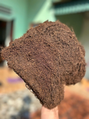 Thuốc lào Thanh hóa êm dịu