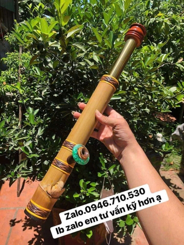 Mini rút tre gai thanh hóa