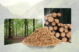 Dăm gỗ, củi băm, gỗ băm