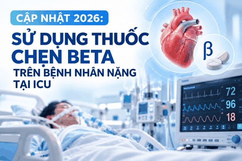 Cập nhật 2026: Sử dụng thuốc chẹn Beta trên bệnh nhân nặng tại ICU