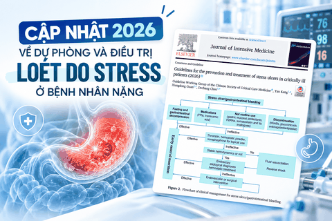 Cập nhật 2026 về dự phòng và điều trị loét do stress ở bệnh nhân nặng