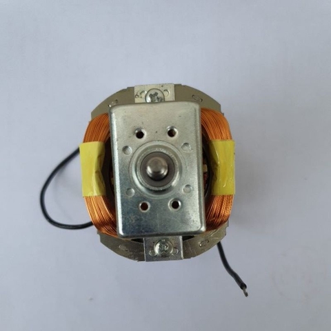 Động cơ, Motor máy xay sinh tố Kangaroo KG3B2