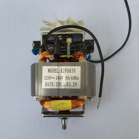 Động cơ, Motor máy xay sinh tố Kangaroo KG3B2