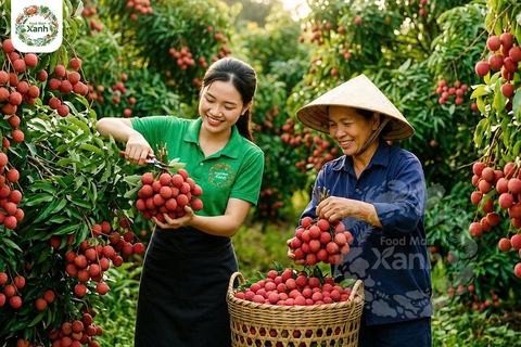 FoodmartXanh – Nông sản sạch từ vùng miền, trao tay người Việt