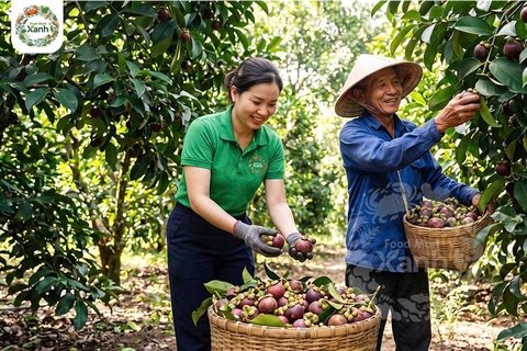 Foodmartxanh – Đưa nông sản sạch từ vùng miền, trao tay người Việt