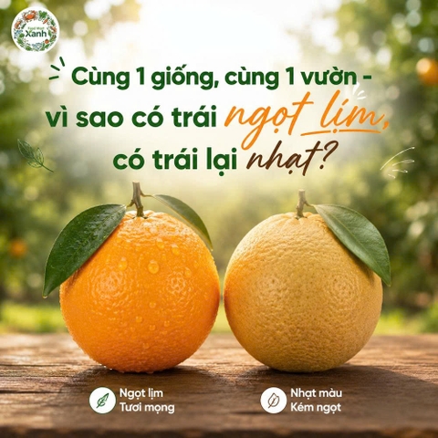 Bí mật độ ngon của nông sản phụ thuộc vào mùa vụ