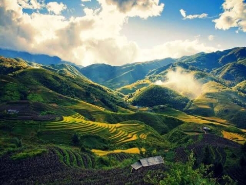 Mùa nào thức nấy: Đặc sản tháng 7 có gì?