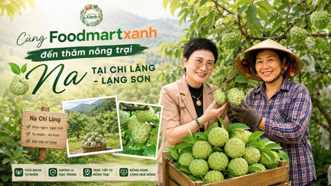 Tự hào nông sản Việt - Cùng FoodmartXanh đến thăm nông trại Na tại Chi Lăng