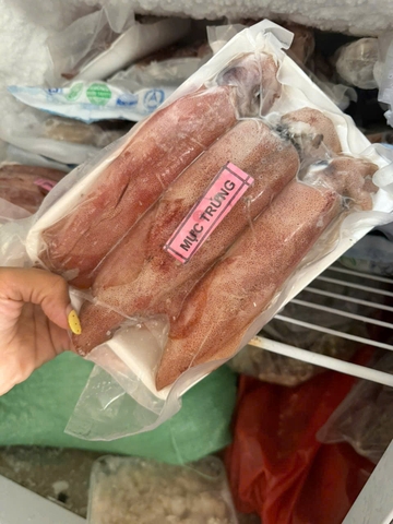Mực trứng lớn 12-16 con/kg