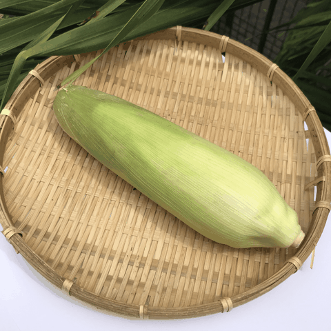 Bắp Nếp Miền Tây