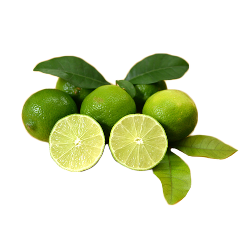 Chanh Không Hạt (Lime) Miền Tây Cỡ Vừa