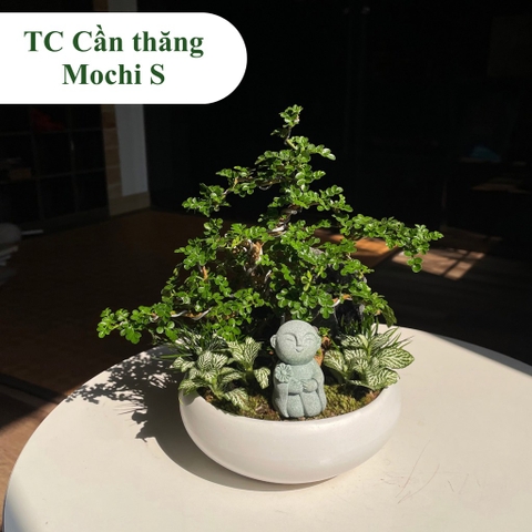 TC cần thăng mochi S