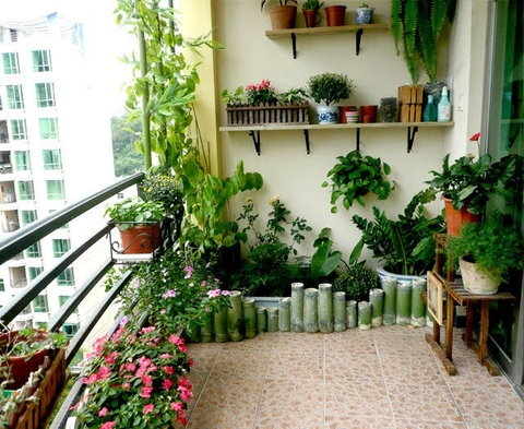 Setup ban công căn hộ xanh