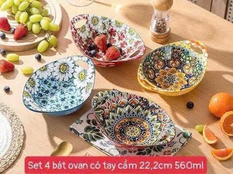 SET 4 BÁT OVAN CÓ TAY CẦM HENTEN HOME 22,2CM 560ML