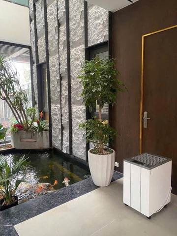 Hút ẩm Woods LD48PRO