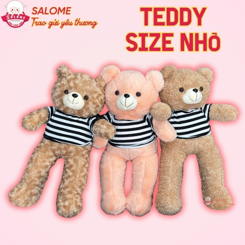 Gấu bông teddy xù mì áo thun