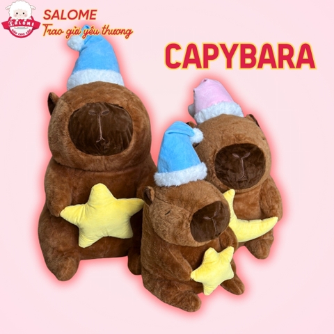 Gấu bông capybara ôm trăng sao