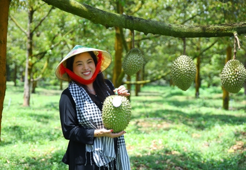 Câu chuyện Sầu riêng chín tự nhiên - Vườn Bà Hoàng Long Khánh