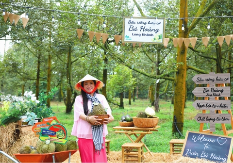 Farm Bà Hoàng Long Khánh – Hành Trình từ vườn đến Sầu Riêng Chín Tự Nhiên