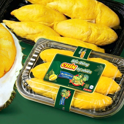 Sầu riêng RI6 cơm dẻo - tách sẵn