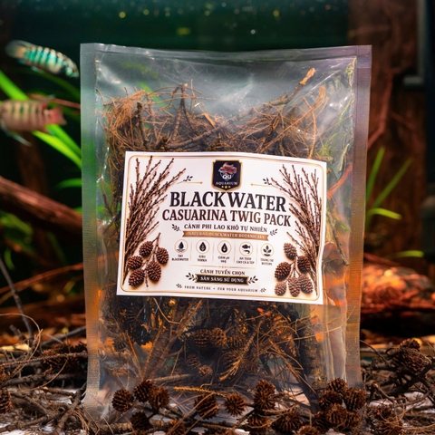 Túi cành khô BLACKWATER