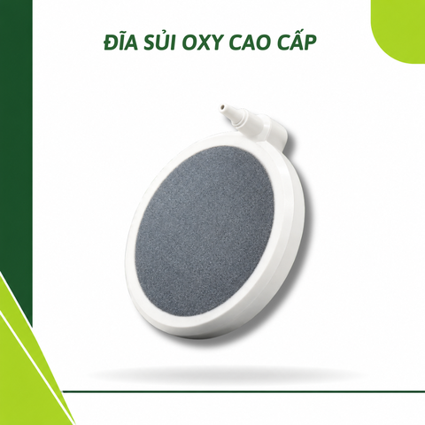 Đĩa Sủi Oxy siêu mịn Langzu cao cấp