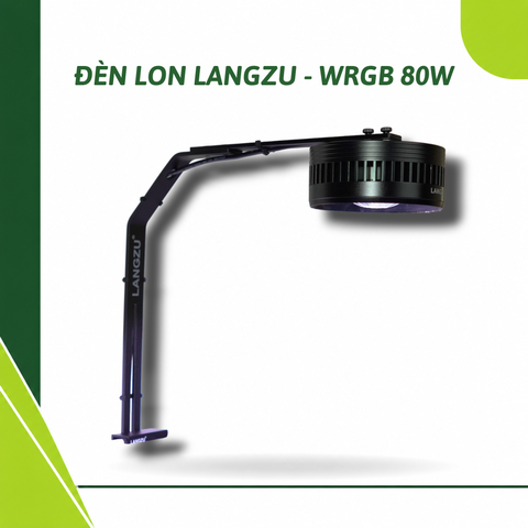 Đèn lon Langzu LZ-900 chỉnh App (WRGB 80W)