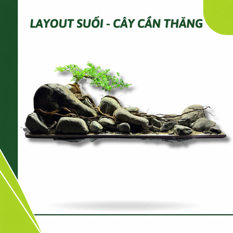 Layout Cần Thăng Vươn Đá (CHƯA KÈM BỂ MINI STREAM)