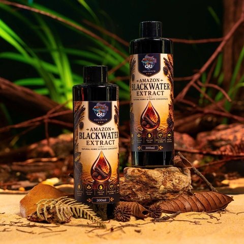 Dung dịch BLACKWATER EXTRACT