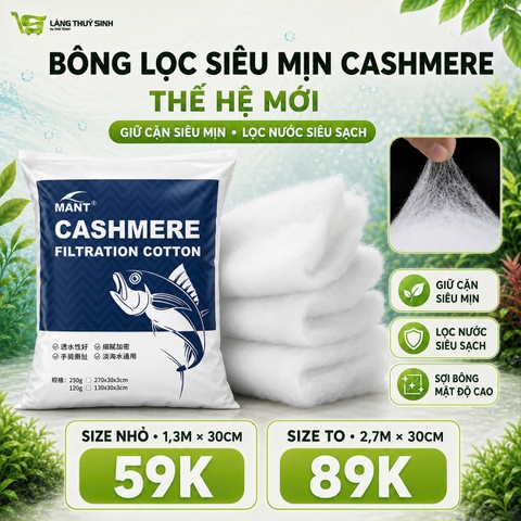 Bông lọc mịn Cashmere