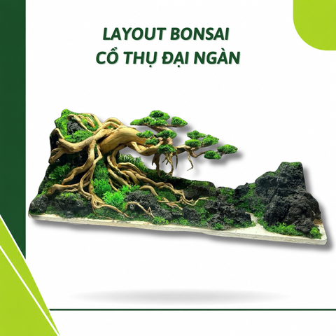Layout Bonsai Cổ Thụ Đại Ngàn (CHƯA KÈM BỂ MINI STREAM)