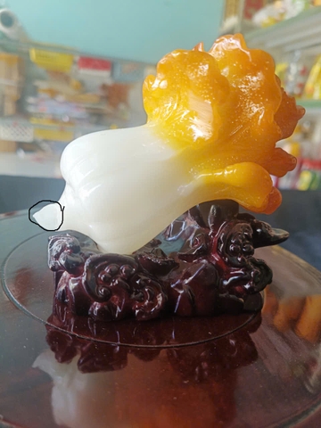Bắp cải chiêu tài , chiêu lộc(lỗi nhẹ đuôi)-(Thanh Lý)