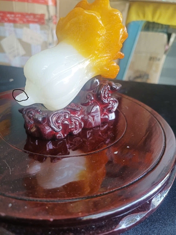 Bắp cải chiêu tài , chiêu lộc(lỗi nhẹ đuôi)-(Thanh Lý)