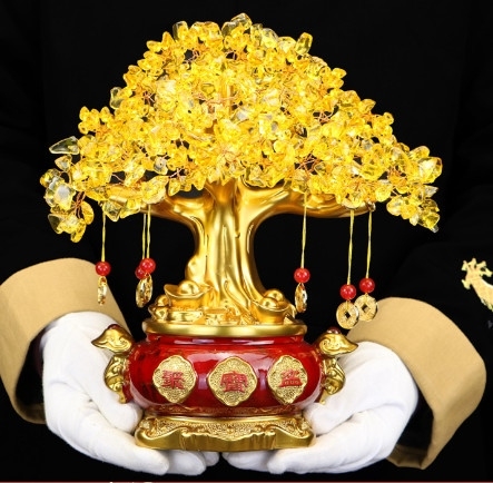 Cây Thần lộc-Hoa tiền Pha lê (Chậu Đỏ)