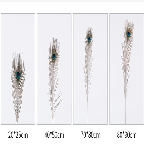 Lông Công Xanh ,hàng thật tự nhiên 100% (từ 25-90cm)trang trí phong thuỷ