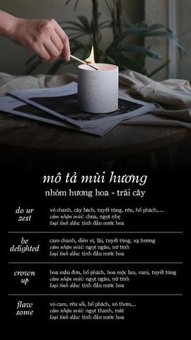 Bộ tinh dầu khuếch tán xe hơi - nhóm hương hoa