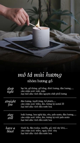 Bộ tinh dầu khuếch tán xe hơi - nhóm hương gỗ