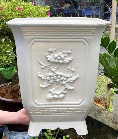 Chậu nhựa Vuông TQ 1