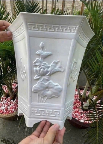 Chậu nhựa LG bông 3