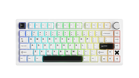 Bàn phím cơ DareU FLEX 75 White Black Pegasus switch