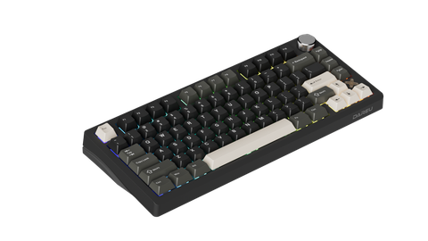Bàn phím cơ DareU FLEX 75 Black Grey Pegasus switch