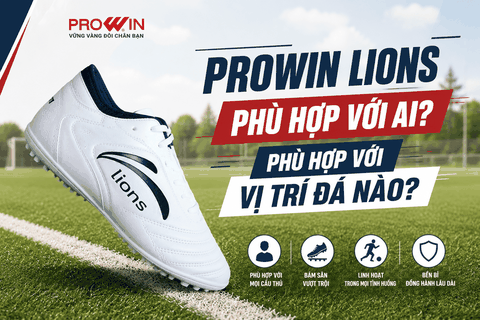 Prowin Lions Phù Hợp Với Ai? 4 Vị Trí Đá Thích Hợp Với Dòng Lions