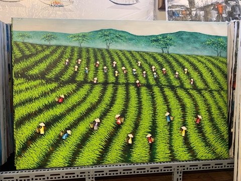 176 ĐồiChè 120x80